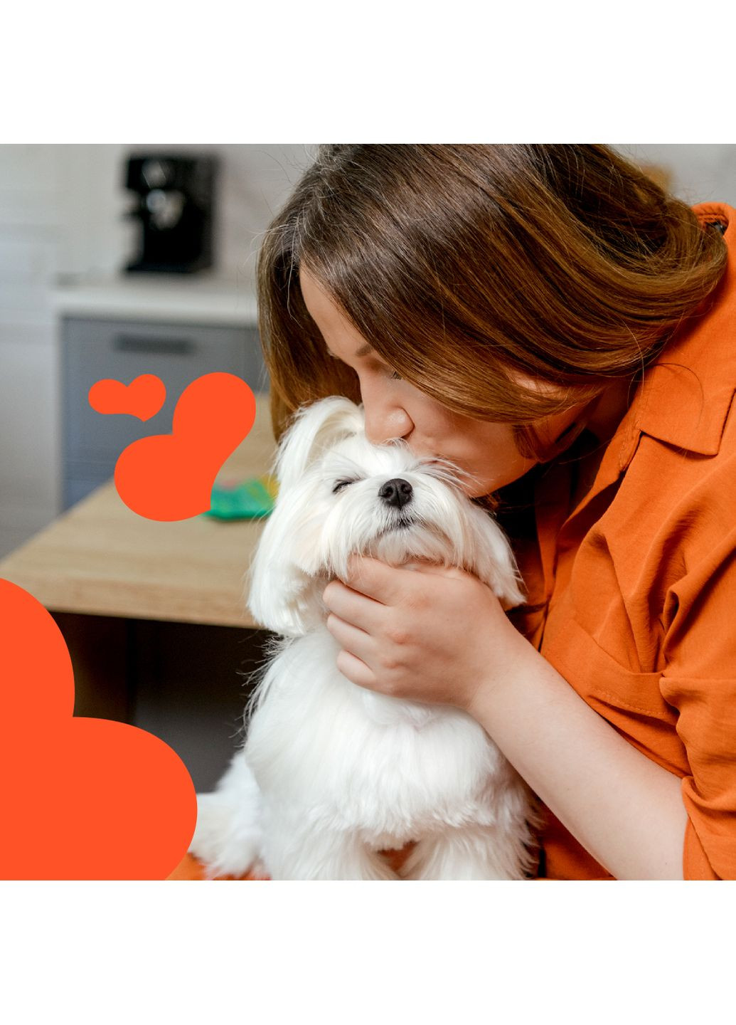 Сушені ласощі для собак Вишукана вʼялена філадельфія з лососем і червоною ікрою 100 г Mavsy (353515479)