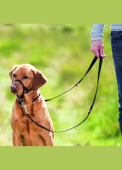 Шлея тренувальна для собак M чорна Trixie (331881413)