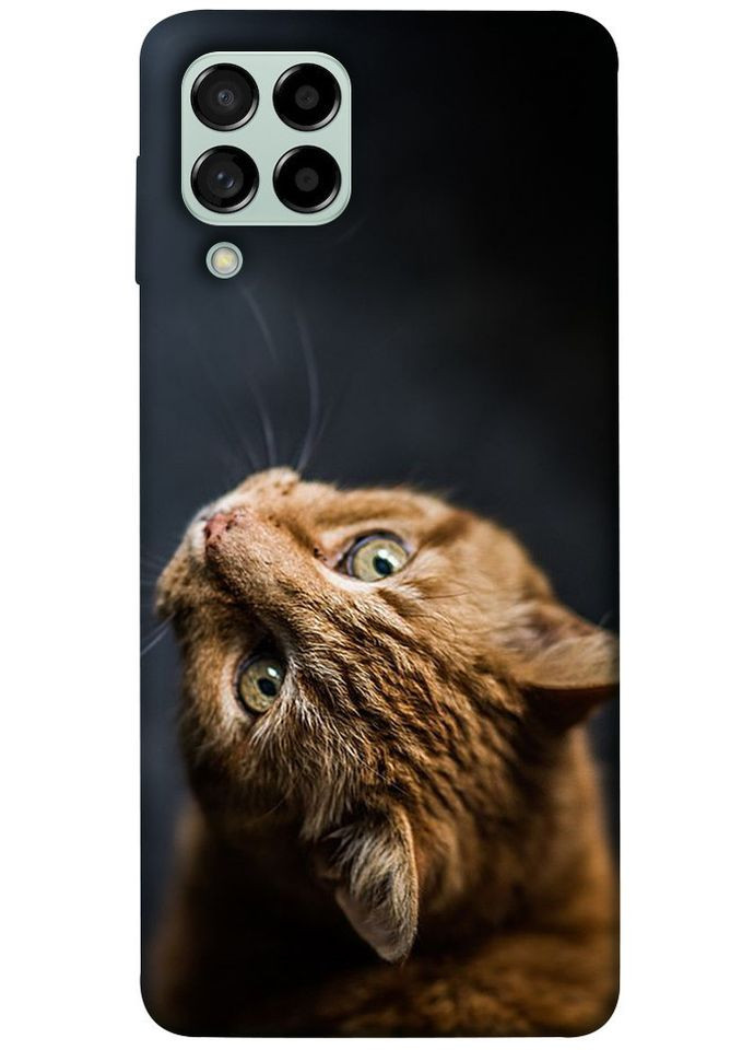 Чехол с принтом для Samsung Galaxy M53 5G / для самсунг галакси М53 Рыжий кот No Brand (339060534)