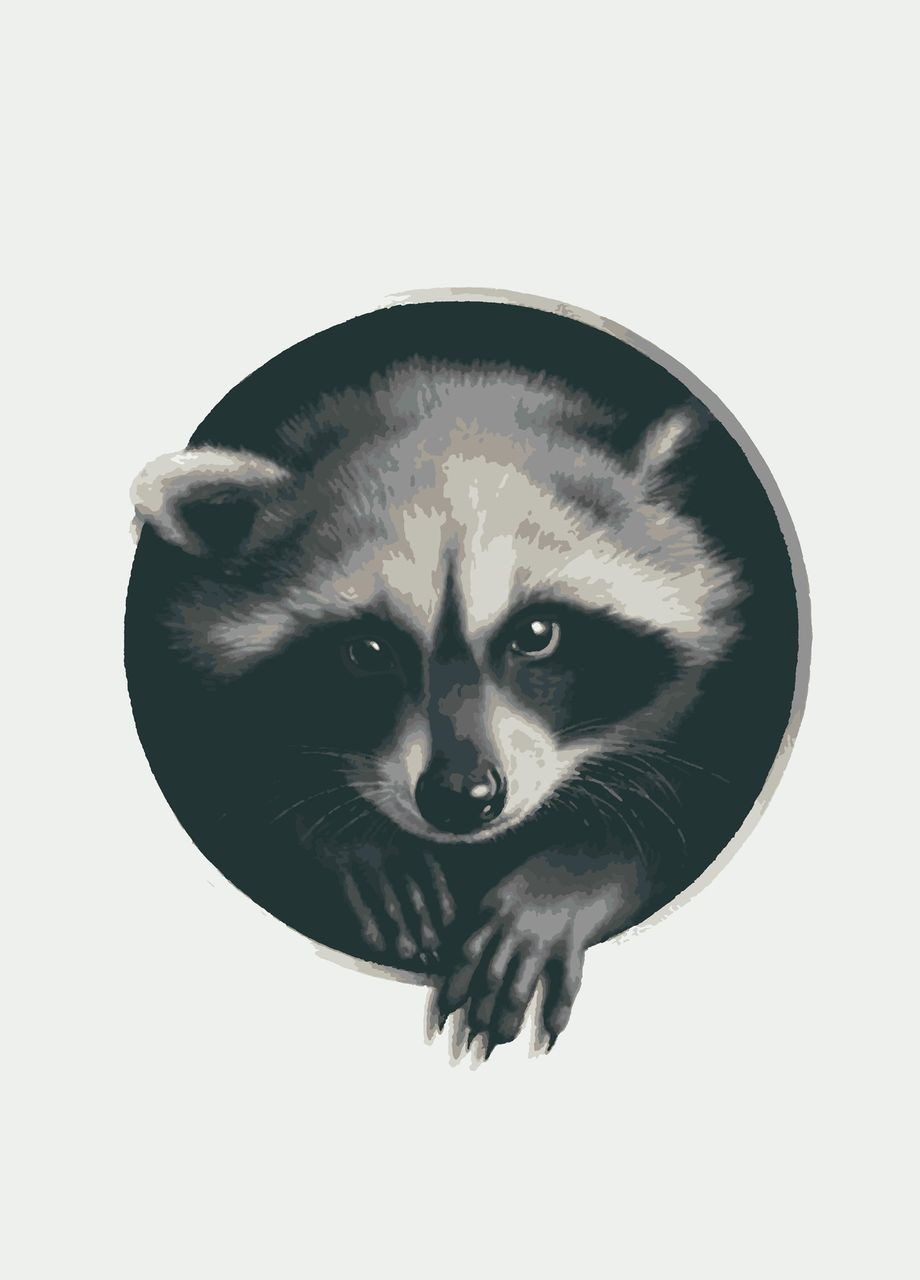 Картина за номерами Портрет у віконці. Полоскун 40x40 см (RB-0589) Riviera Blanca (303136106)