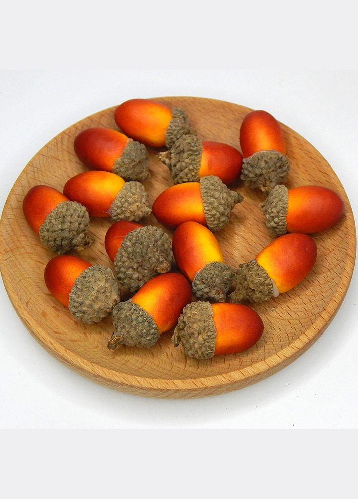 Жолудь штучний (декор), 3,1х1,7 см, світло-коричневий No Brand (341731396)