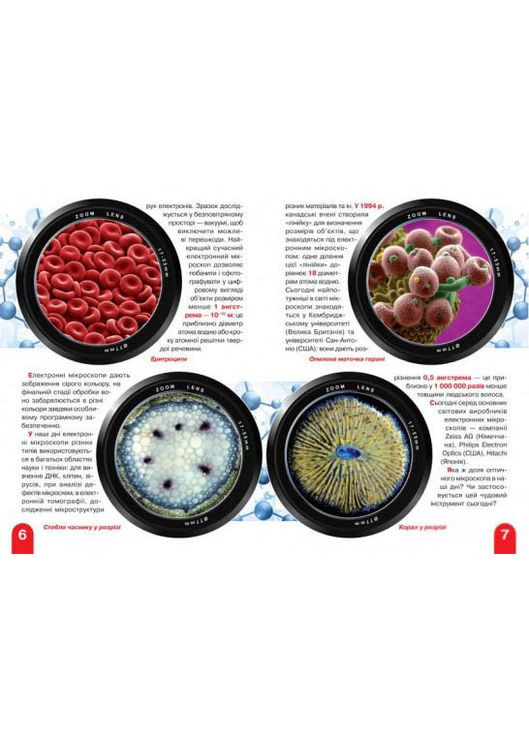 Крупная книжка. Микромир Кристал Бук (351585914)