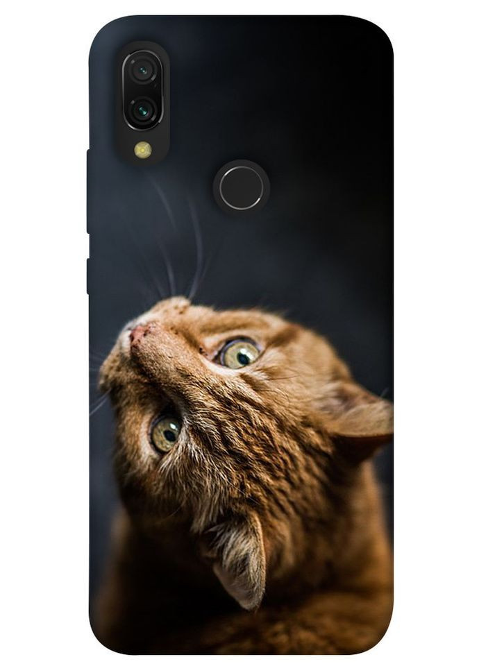 Чохол з принтом для Xiaomi Redmi 7 / на Ксяомі, сяомі, ксіомі редмі 7 Рудий кіт No Brand (339064050)