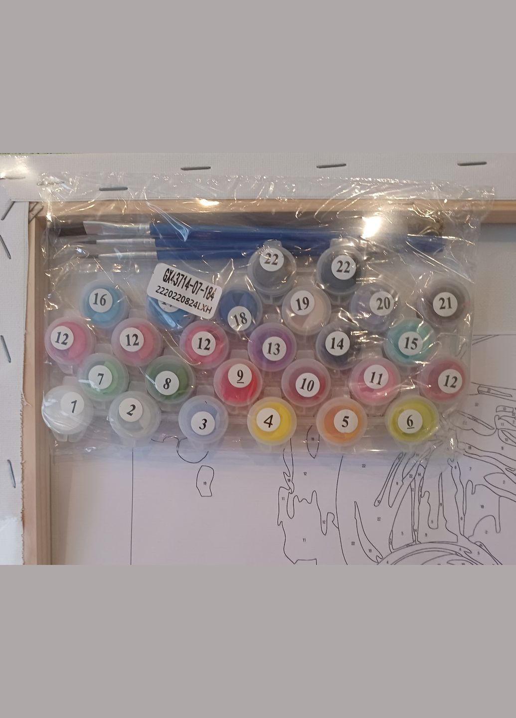 Картина по номерам Удивление 40*50 Картины по номерам на холсте Удивление Девушка в очках GX43714 Rainbow Art (308987703)