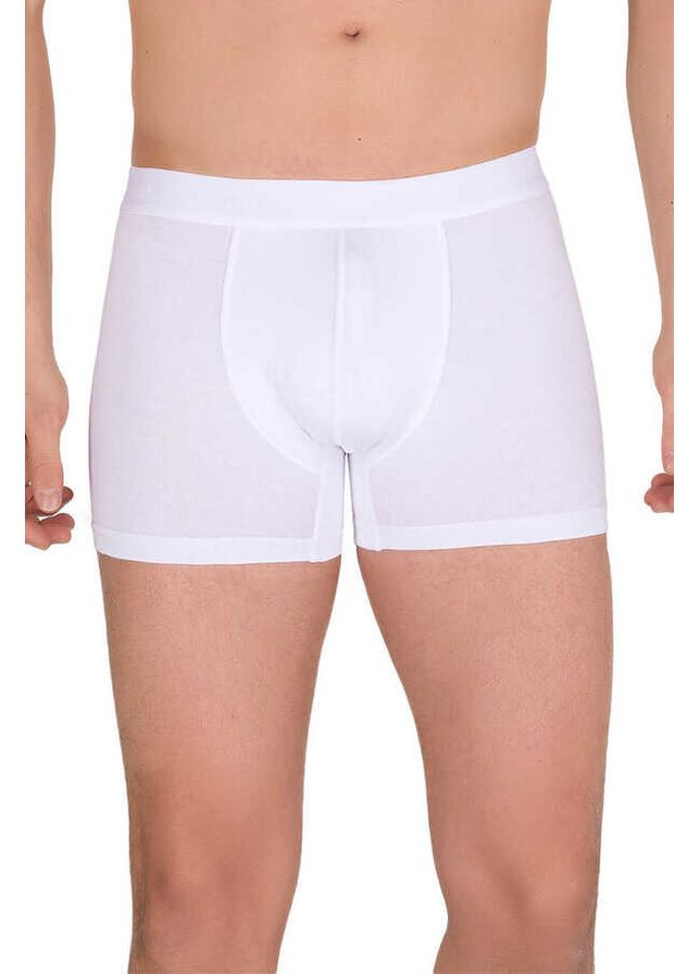 Чоловічі боксери Berrak 4476 (302000898)