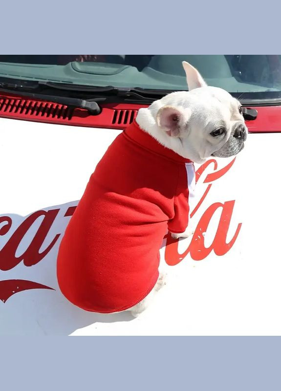 Теплый свитшот на флисе с застежкой молнией размер L No Brand (299840094)