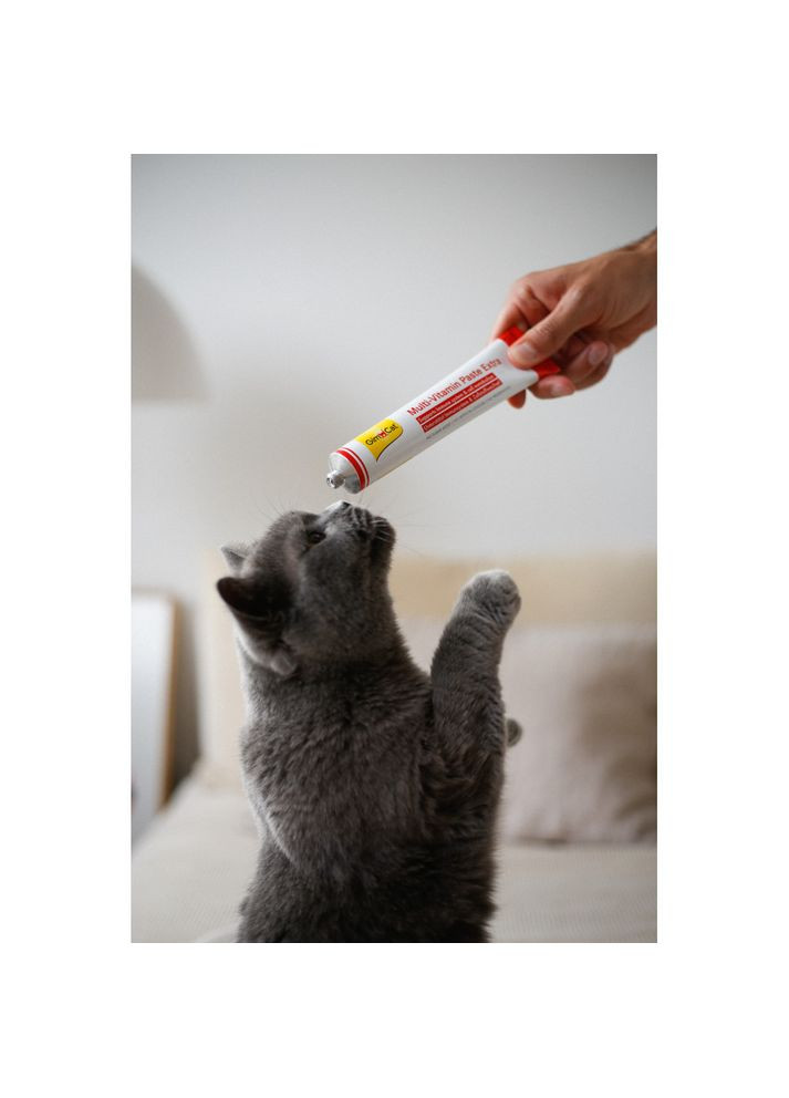 Вітаміни GimCat Every Day Extra мультивітамінна паста для котів для покращення імунітету 200 г Gimborn (372535234)