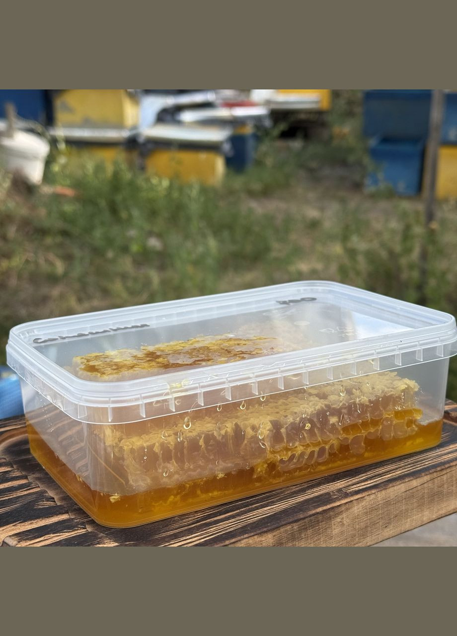 2025 г Соты Разнотравье - подсолнечник 700 грамм МЕД ПОШТОЮ (351874109)