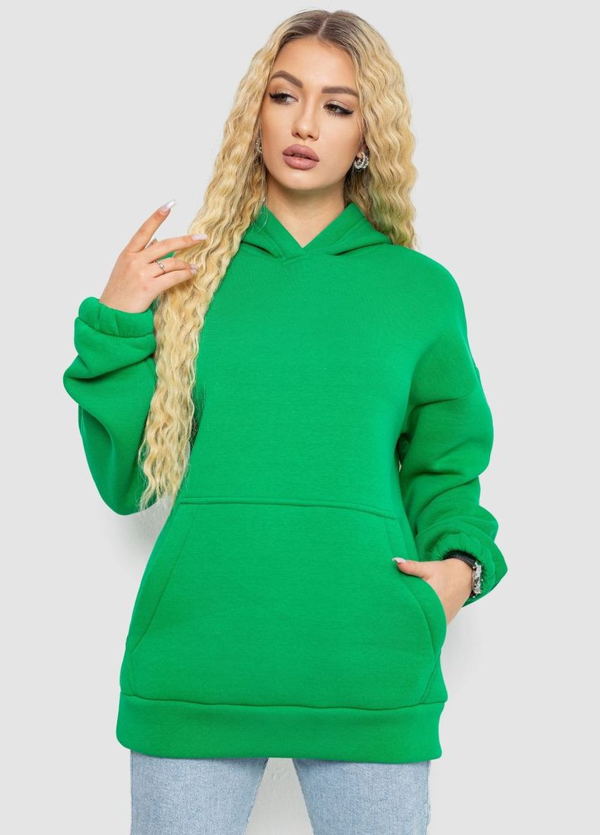 Худі жіноча тринитка на флісі,, 102R364 Ager (317432637)