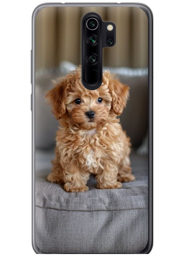 2D пластиковий чохол 'Mini-maltipoo' для Endorphone Xiaomi Redmi Note 8 Pro (297866356)