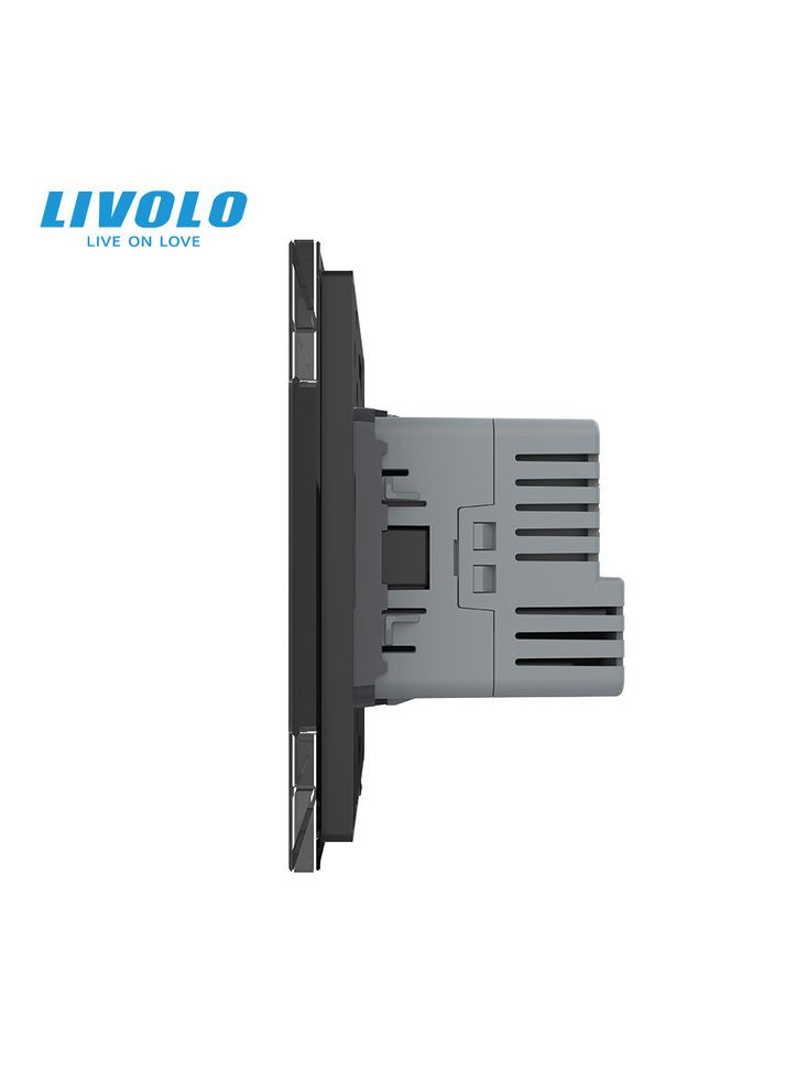 Электрическая розетка с USB Type-C 18Вт для зарядки, с заземлением,, чёрная, стеклянная рамка, 250В 16А Livolo (370970988)