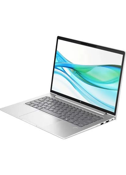 Ноутбук ProBook 445 G11 (8Z9P8AV_V1) Silver HP (360418427)