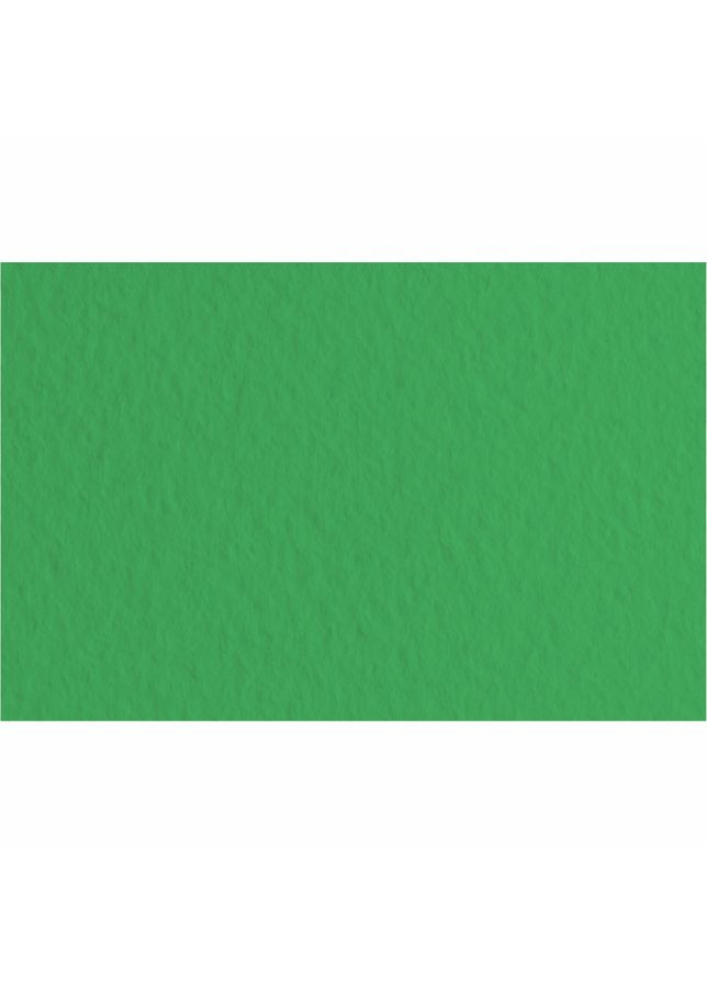 Папір для пастелі Tiziano A4 (21х 29,7см) №12 prato 160г/м2 середнє зерно Fabriano (362581263)