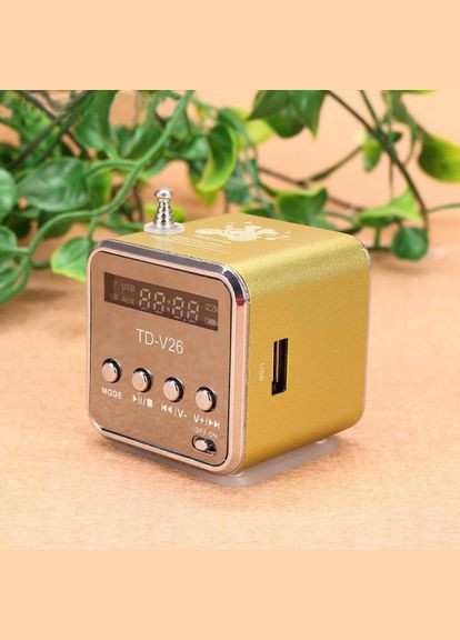 Портативна колонка, з FM-радіо, Bluetooth, роз'ємами micro SD/TF/USB, RGB-підсвічування, TD-V26, золотиста Lem Berger (315719710)