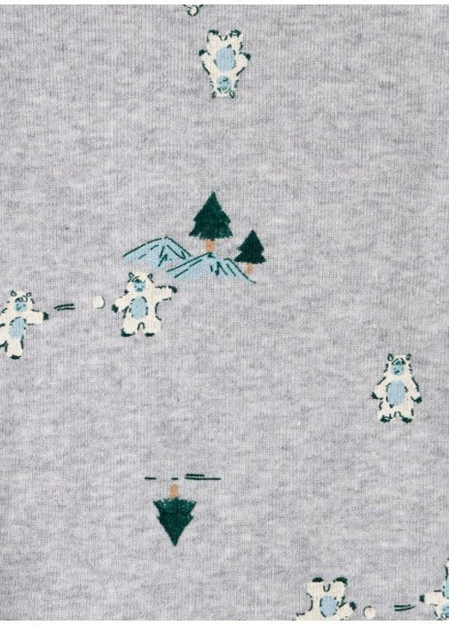 Комплект боді Carter's (362200669)