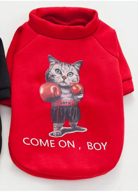 Костюм (свитшот) для собак и кошек с ярким принтом, размер L, Лорі (367725946)