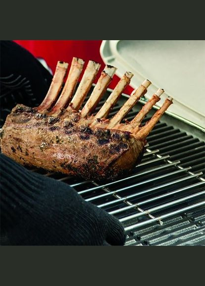 Подставка для запекания на грилях Q2000 – 3000 6564 Weber (326804094)