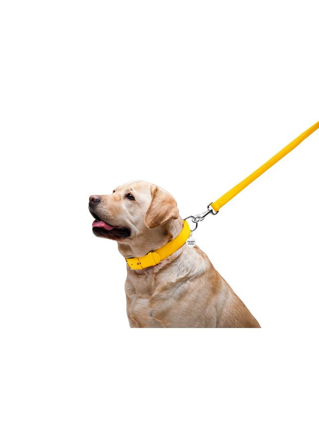 Поводок для собак WAUDOG Glamour кожаный желтый 25 мм 122 см для больших пород крепкий поводок ProDobro (373221368)