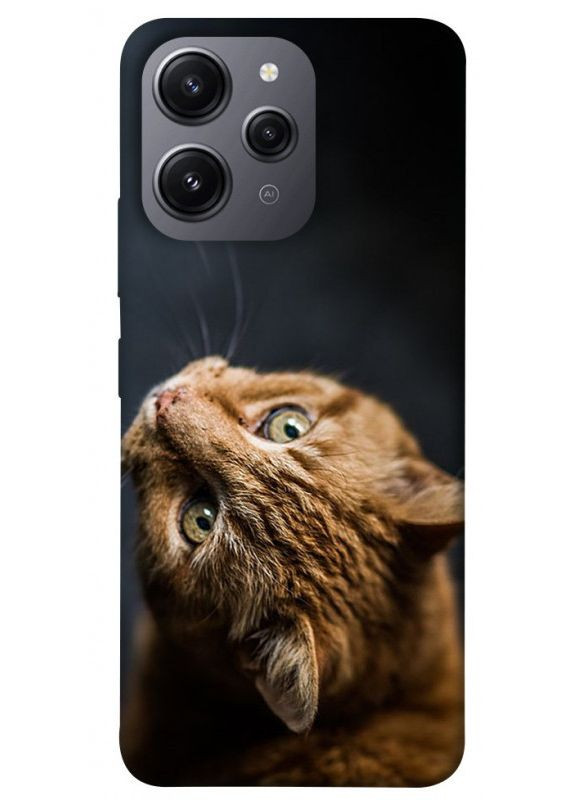 Чохол з принтом для Xiaomi Redmi 12 / на Ксяомі, сяомі, ксіомі редмі 12 Рудий кіт No Brand (339676250)