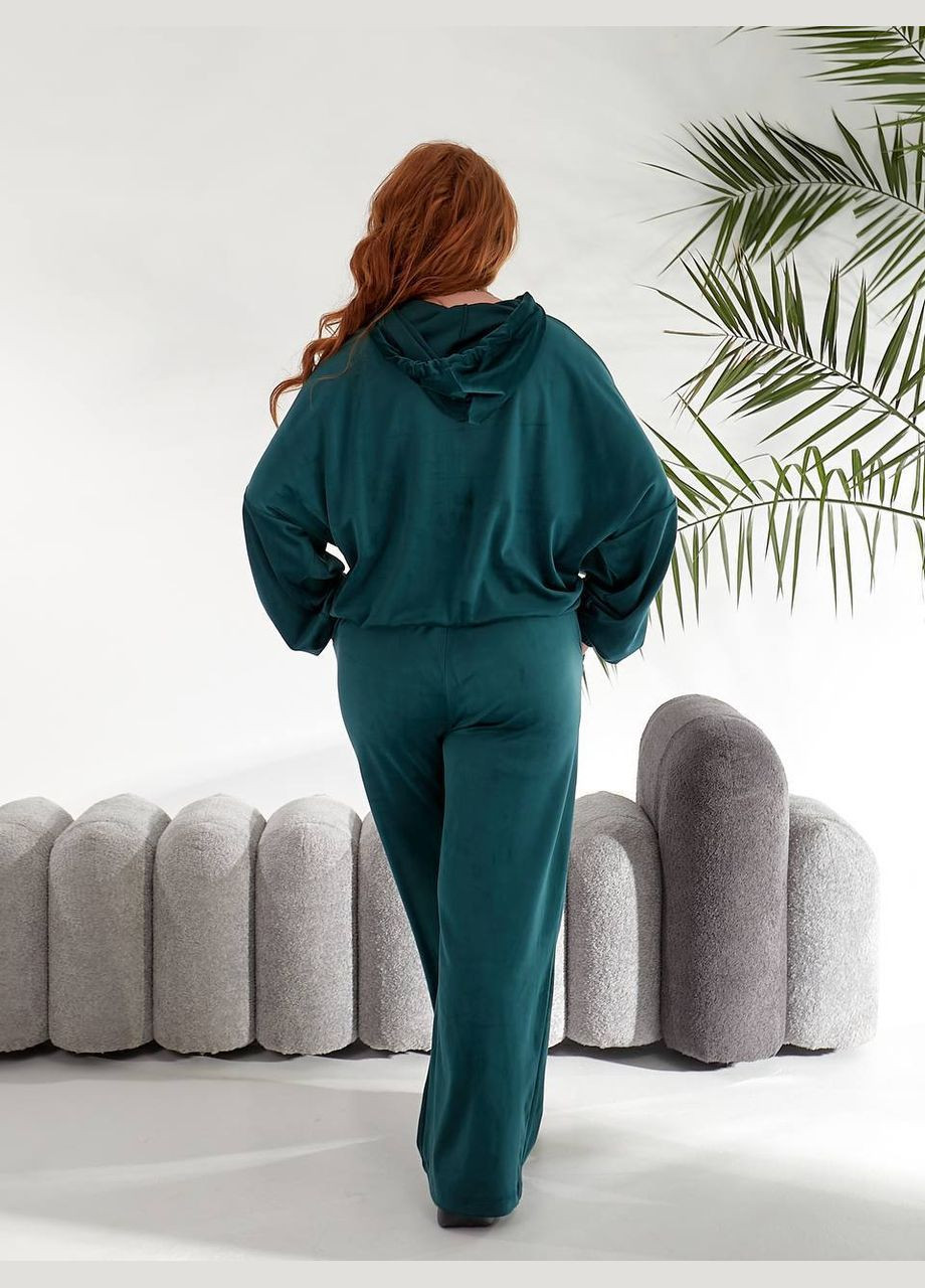 Жіночий велюровий костюм Style Point (335418416)