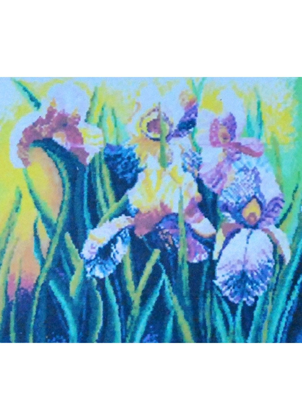 Набір Алмазна мозаїка вишивка Іриси півники Розквіт ірисів цвітіння та розмноження повна викладка 5d 53х40 см No Brand (332207808)