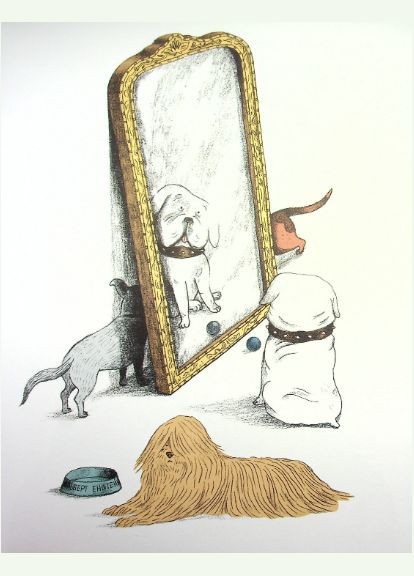 Книга Собаки и кошки с точки зрения ученых. Автор - Меган Каллис ( ) Жорж (338874492)