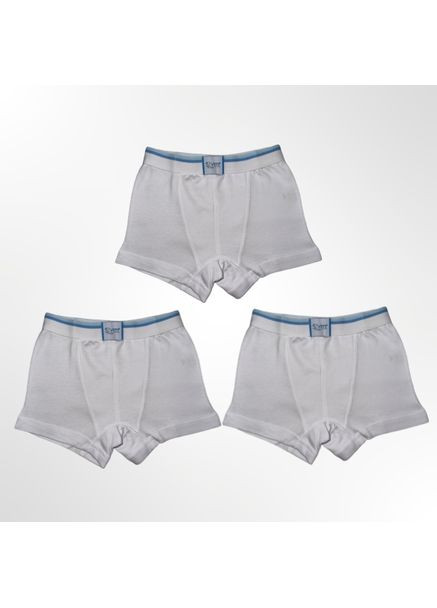 Набір дитячих трусів-боксерів з широкою резинкою 3 шт 104 см Білі (1069) Sevim (360766715)