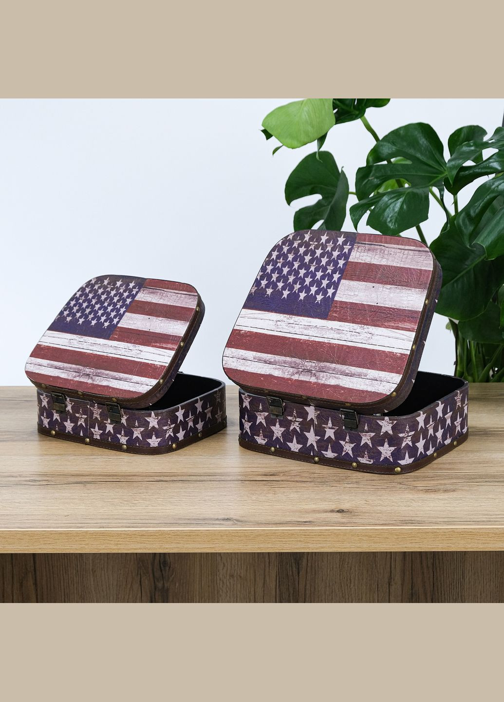 Валіза набір з 2-х - Прапор США (SH31193-302) Гранд Презент (322190863)