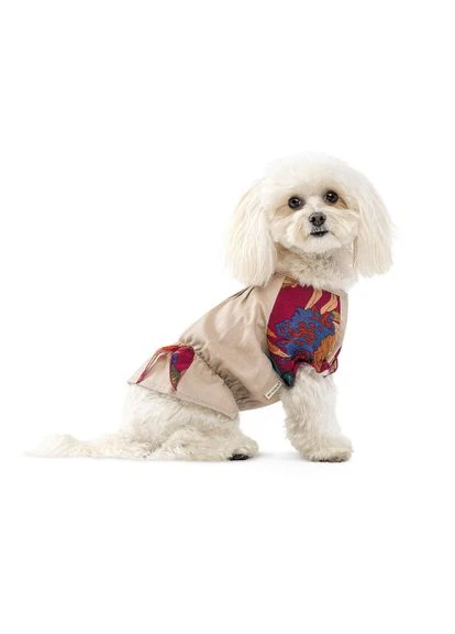 Рубашка Соломия для собак девочка бежевая Pet Fashion (380984813)