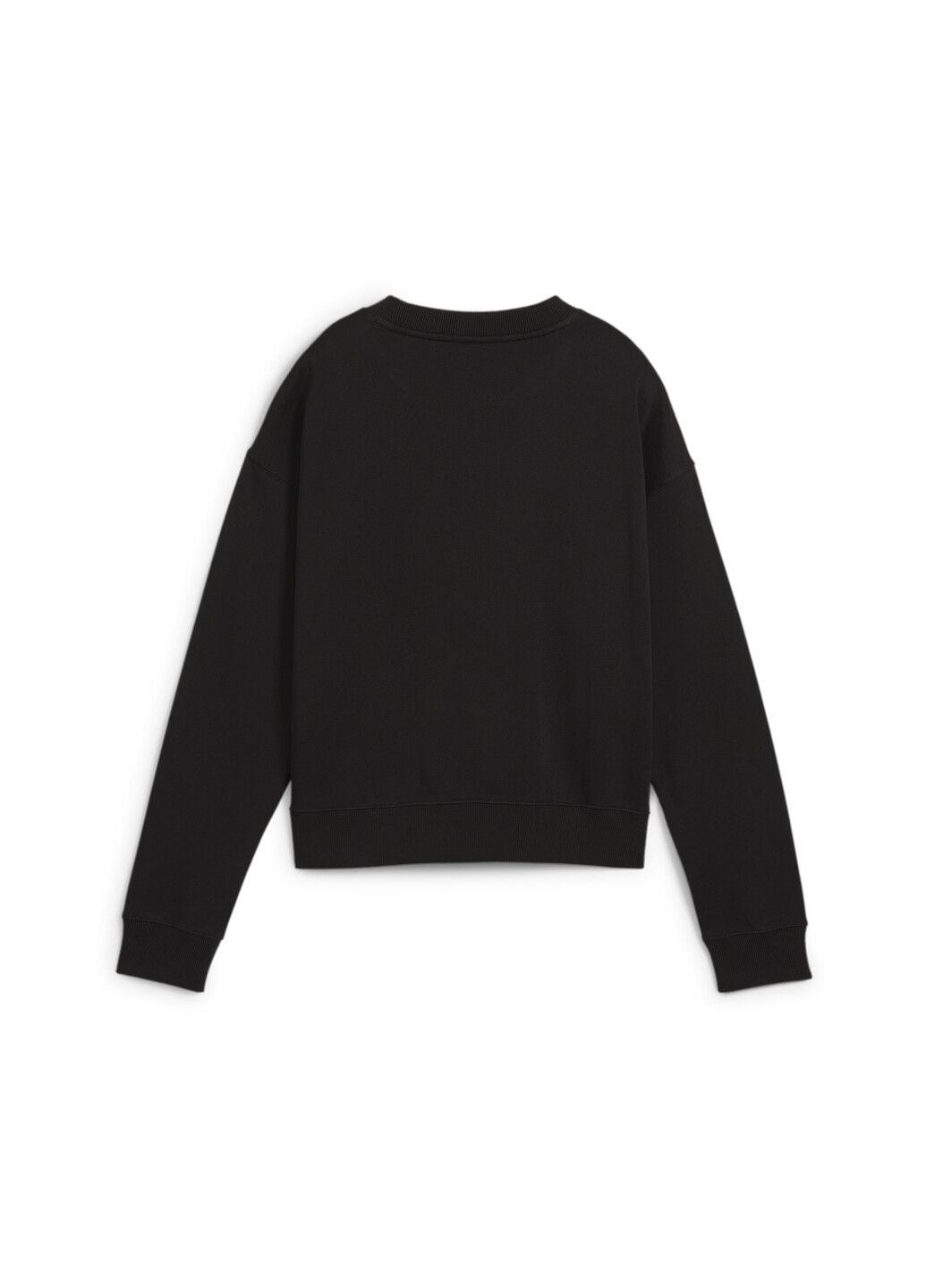 Світшот SQUAD Full-Length Crewneck Women Puma (300418112)