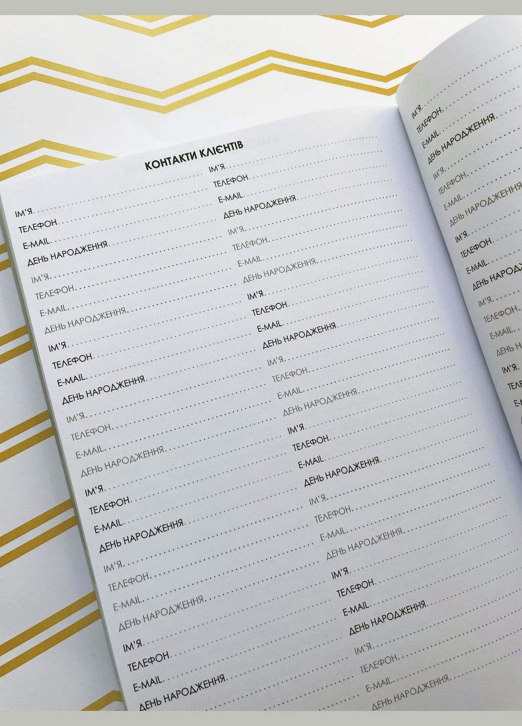 Планер Майстра Краси Фірмовий Figasse 576 (300358785)