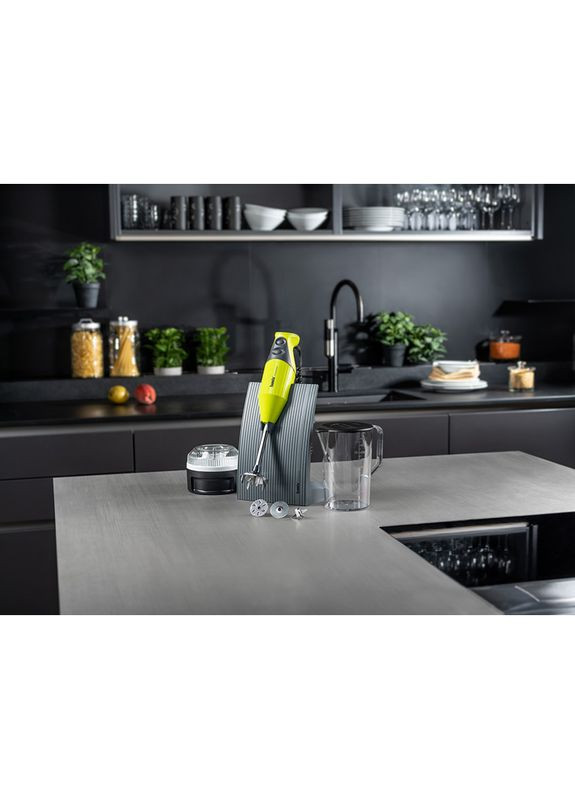 Блендер SwissLine М200 Lime Bamix (323102437)