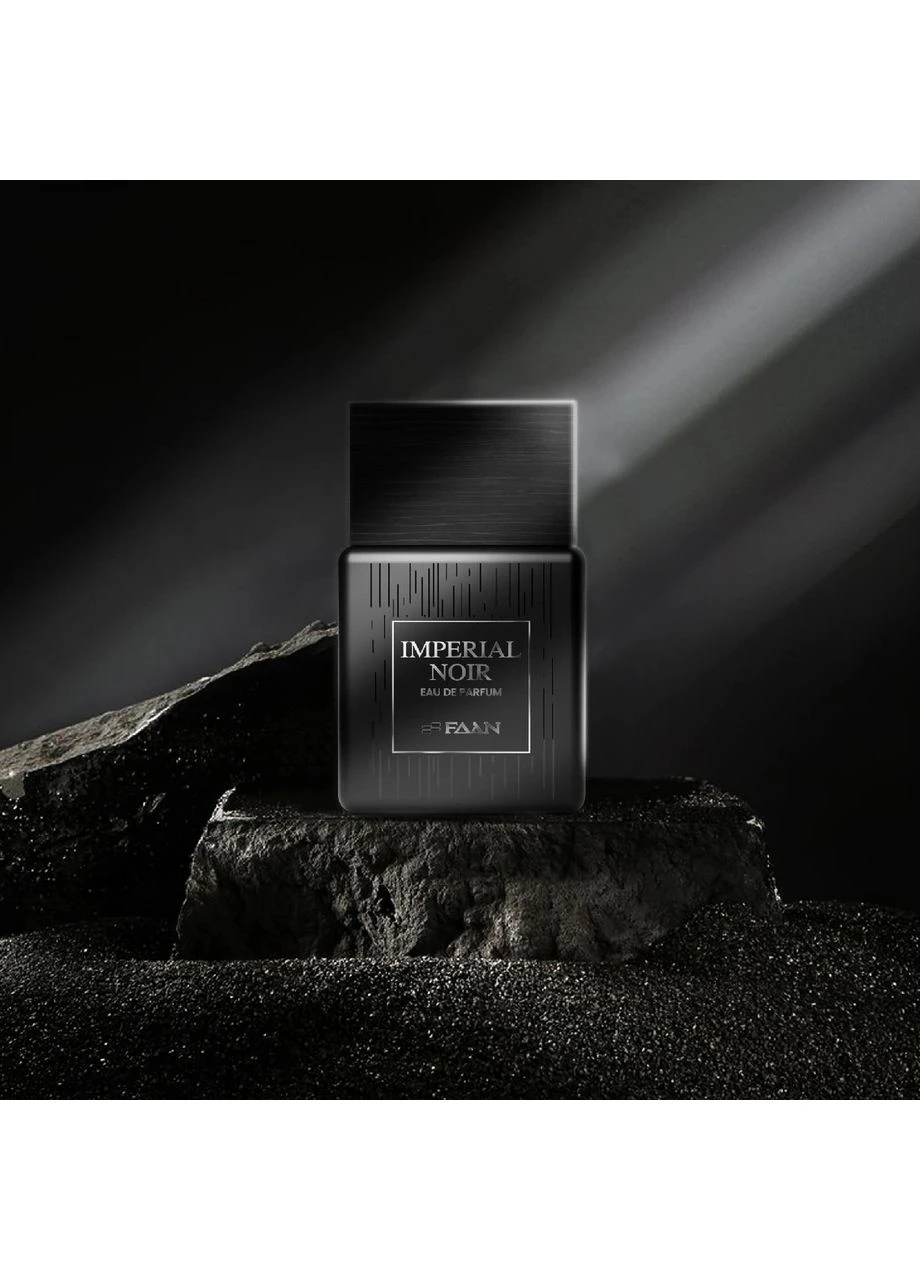 Туалетная вода мужская IMPERIAL NOIR PERFUME EDP 100 мл FAAN (401045109)