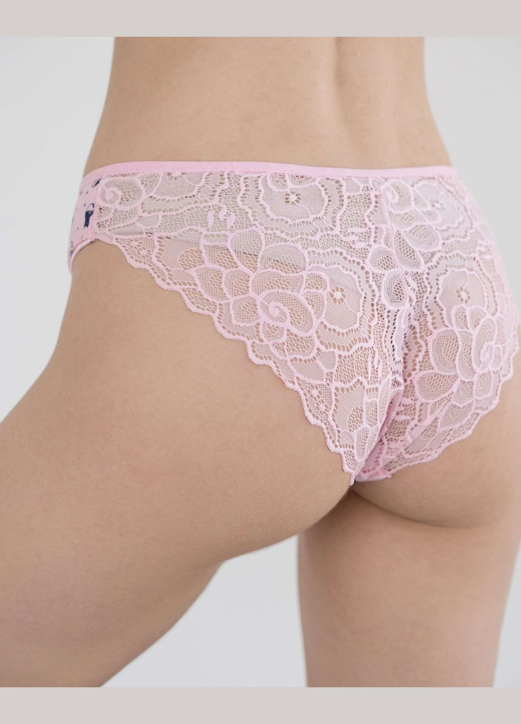 Жіночі трусики-сліпи з мереживом ззаду та гладенький перед, 5 шт Nicoletta (342119842)