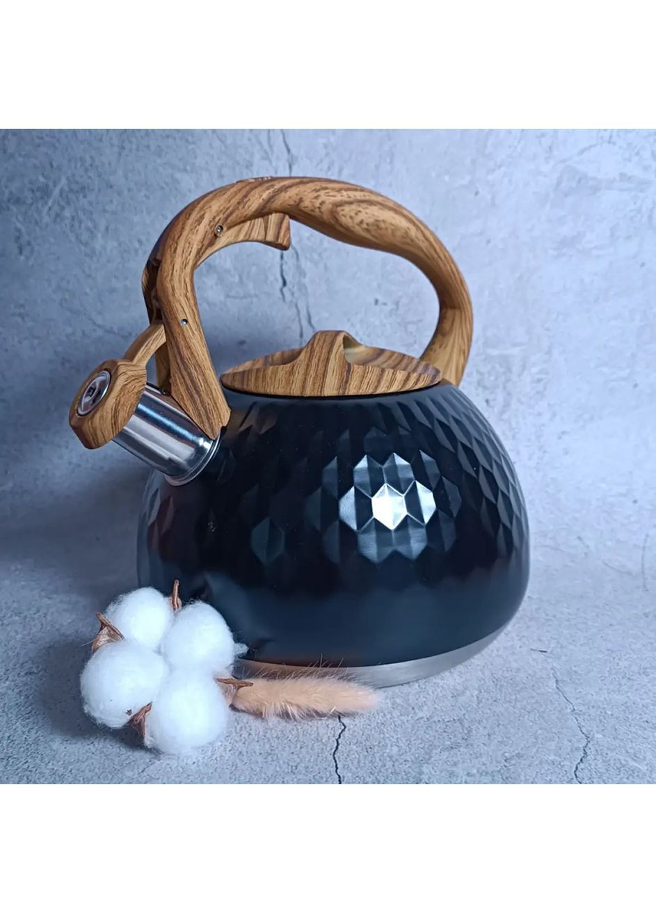 Чайник со свистком Сириус GT-1418-28 2.8 л черный Gusto (362263831)