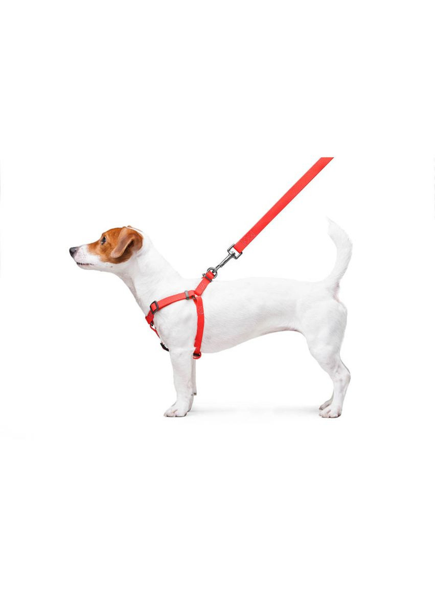 Шлея для собак водостійка Waterproof, c QR паспортом, металічна пряжка-фастекс, Ш 15 мм, Дов 40-55 см червоний WAUDOG (322642833)