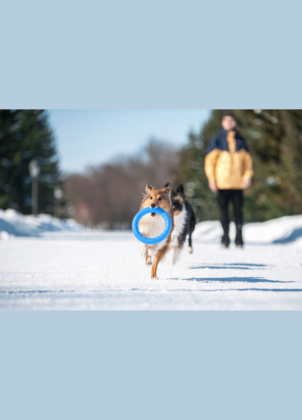 Кольцо для апортировки PitchDog30, диаметр 28 см, голубой PitchDog (315599009)