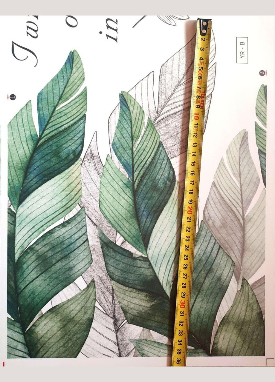 Виниловые наклейки Большие зеленые листья папоротник (лист 60 х 90 см) Б79-13 YR-AB No Brand (335976678)