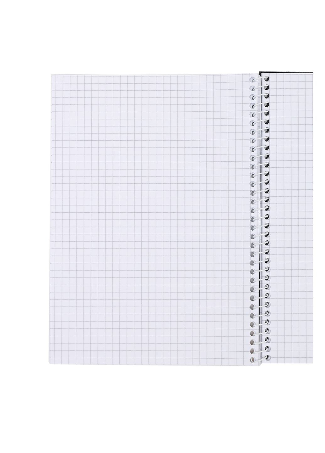 Блокнот А5 колір різнокольоровий ЦБ-00282476 Cool For School (348838810)