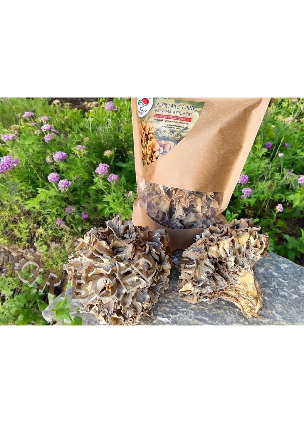 Мейтаке 400 грам + ПОДАРУНОК (Їжовик гребінчастий - 100 грам). GRIBOED (398856599)