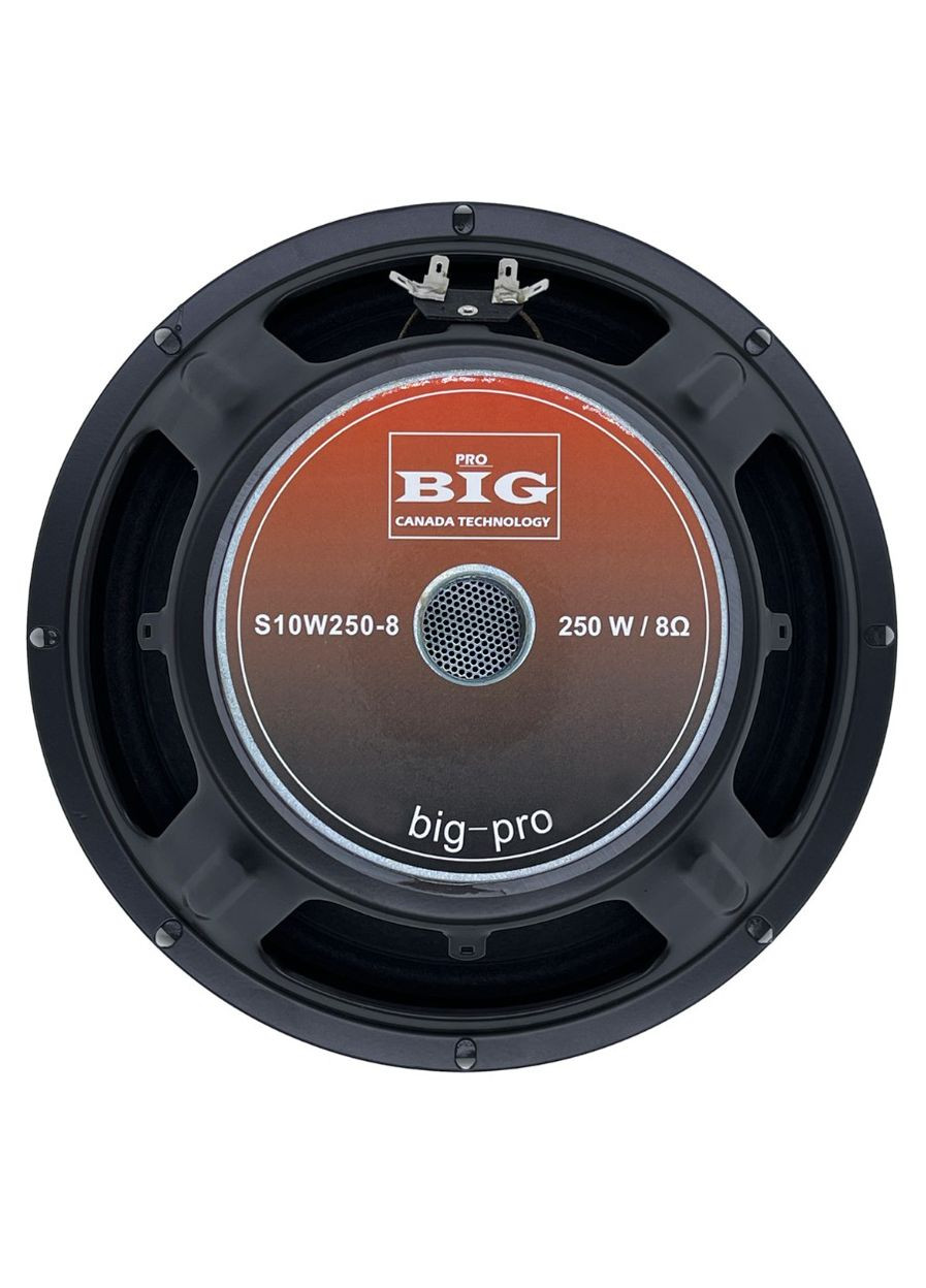 Динамік для акустичної системи 10 дюймів S10W2508 8Ом 250 Вт BIG (382951323)