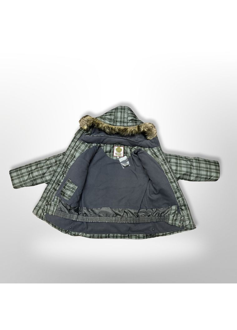 Гірськолижна куртка для хлопчика Termotex QuadriFoglio 0094 Сіро-зелена клітка Quadri foglio (360766708)