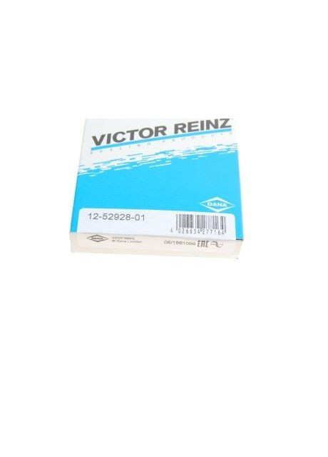 Комплект прокладок, стержень клапана REINZ 12-52928-01 Victor Reinz (340421931)