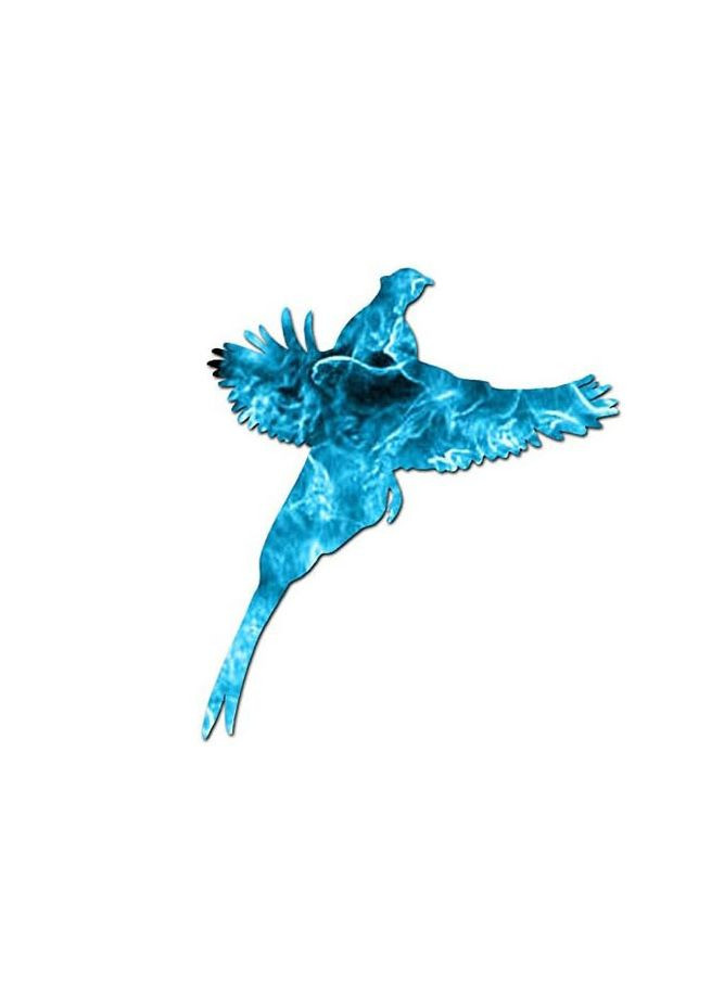 Вінілова наліпка 15см Amazon (299365460)