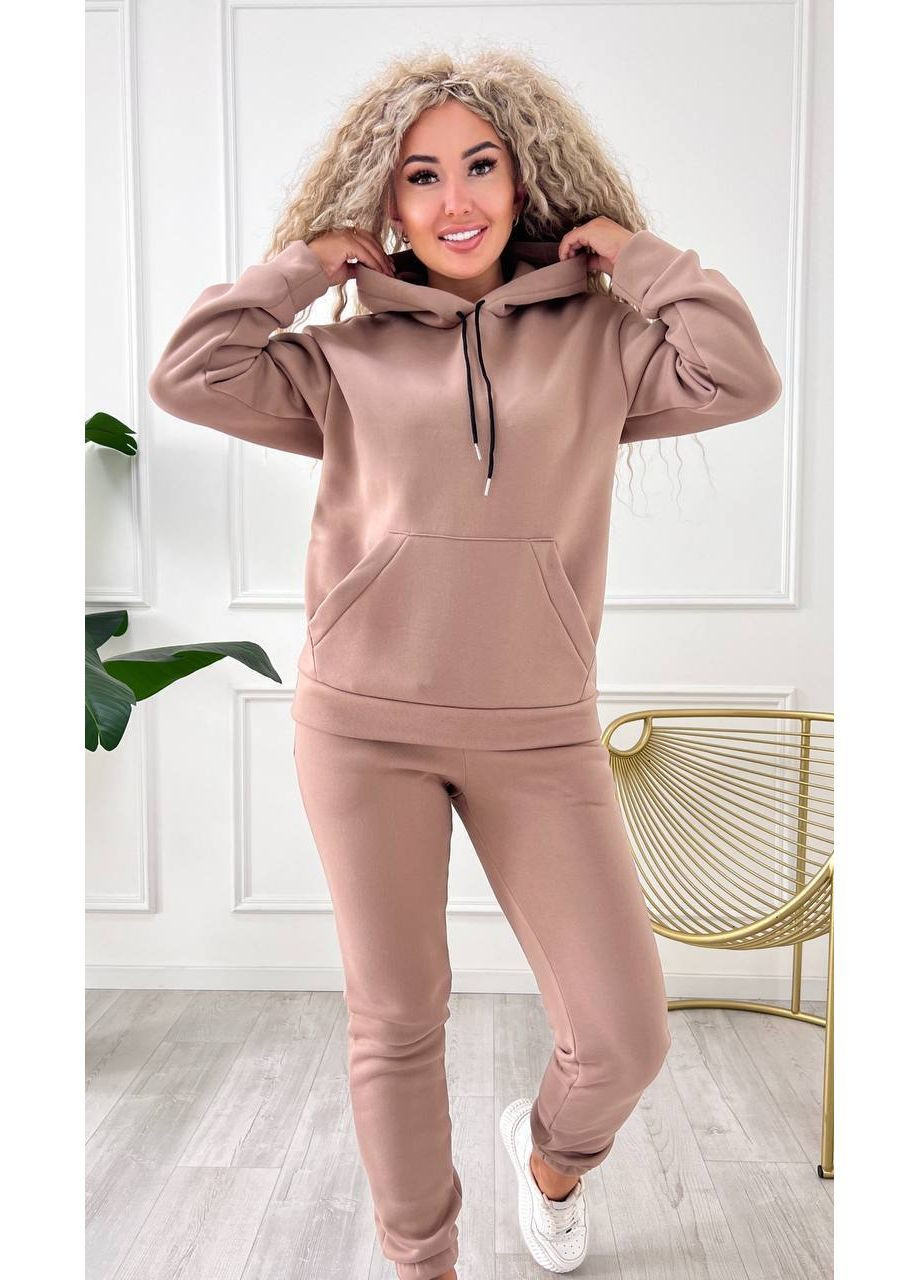 Костюм2-ка двійка тринитка на флісі худі з капюшоном та штани Джогери Україна (364653081)