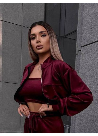 Костюм женский велюровый брюки и кофта укороченная No Brand (360919600)