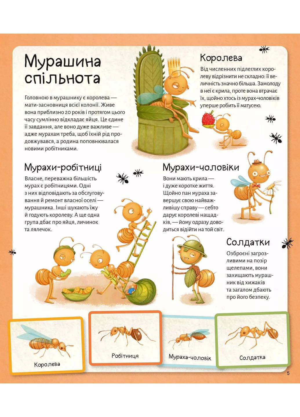 Мир муравьев Vivat (370067415)