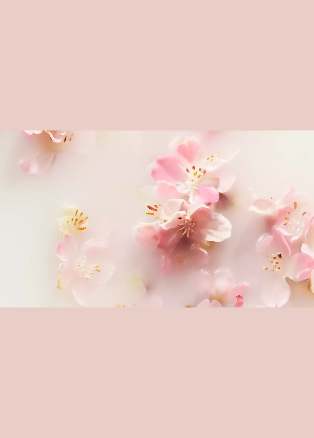 Rituals Живильний крем для тіла The Ritual Of Sakura Body Cream Рисове молоко та цвітіння вишні, 220 мл — Крем, Нідерланди (332200908)