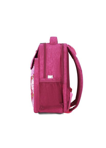 Рюкзак школьный BL Отличник 20 л. Малиновый 888 (00058070) (1123921618) Bagland BL Відмінник 20 л. Малиновий 888 (00058070) (366644944)