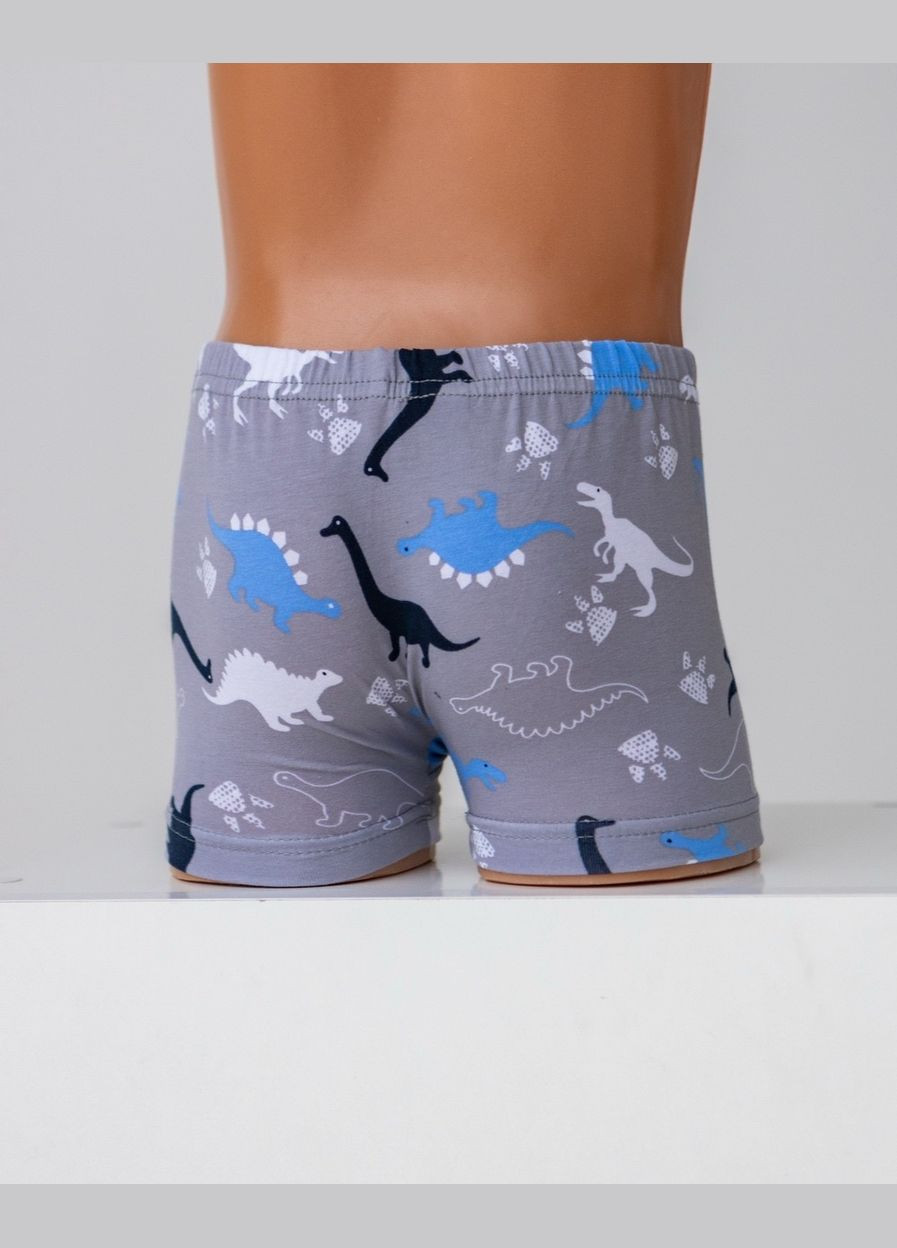 Набор детских трусов-боксеров для мальчика (5 шт.) Nicoletta (343339642)